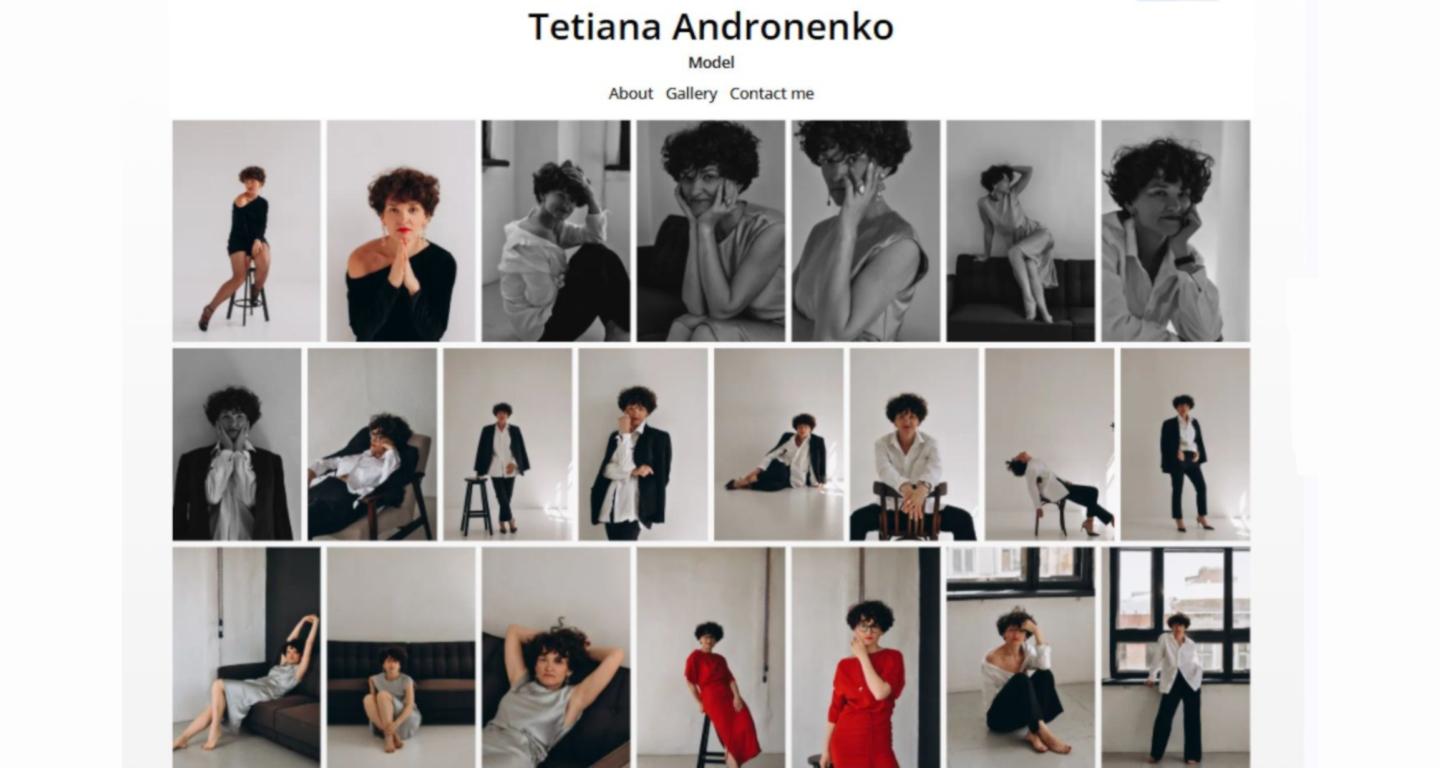 Портфоліо моделі